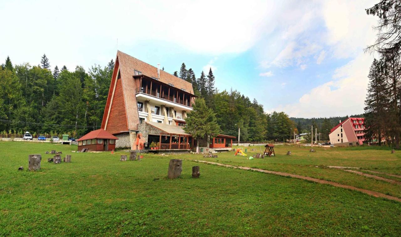 Pensiunea Rasnoava Predeal Oda fotoğraf